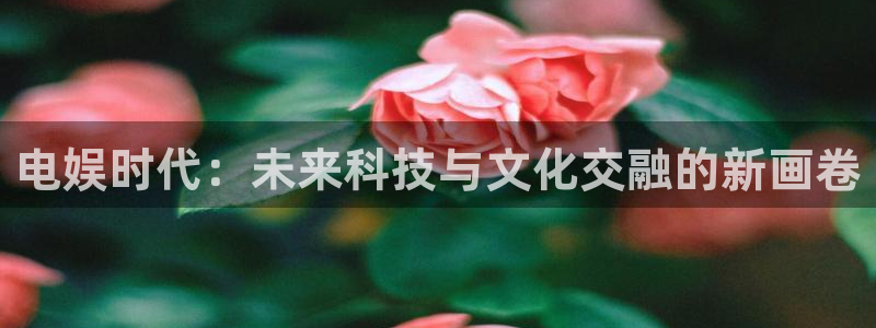 upload/20250701114914.jpg